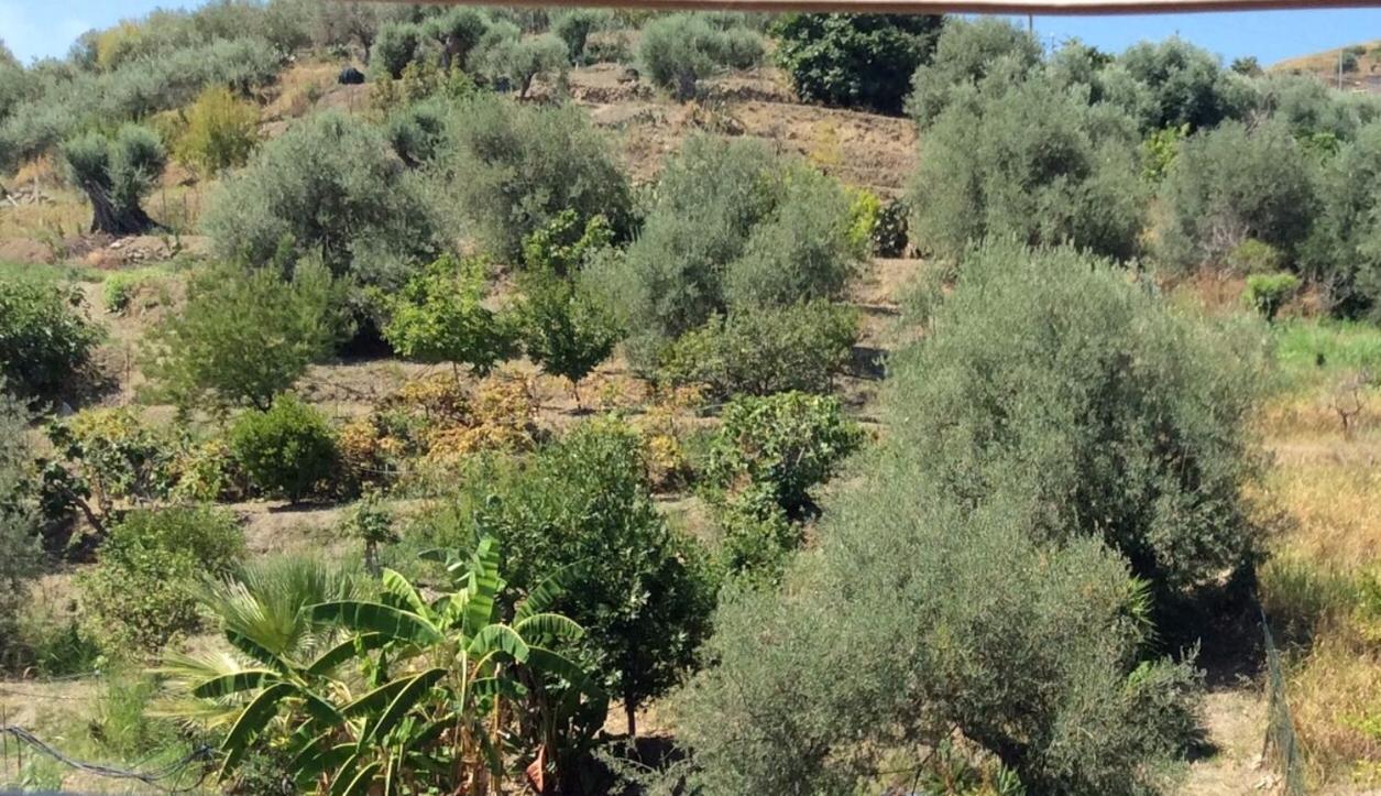 B&B Domus Candida Calatabiano Buitenkant foto